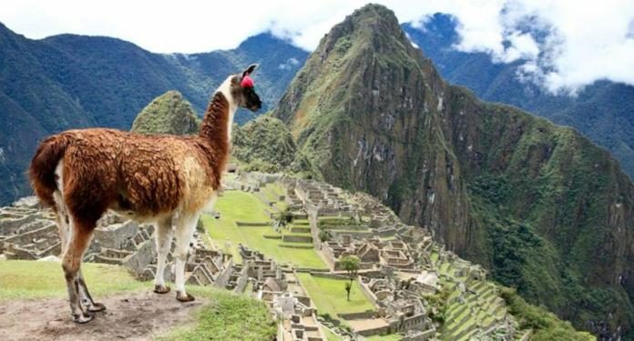 Alteração de Lei no Peru pode Modificar o Destino do Dinheiro Gerado pelos Cassinos