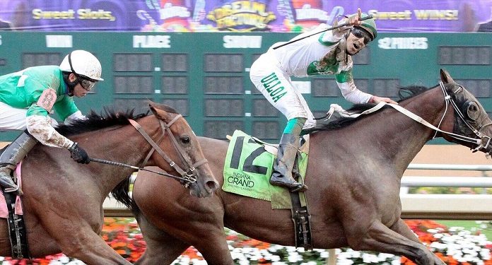 Indiana-Grand-Lançará-Apostas-Esportivas-em-1º-de-Setembro
