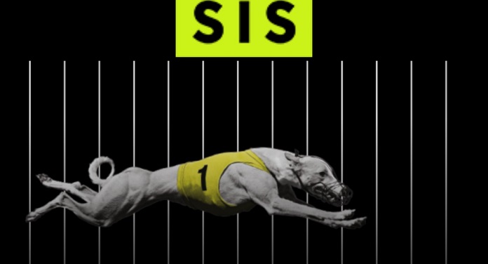 SIS Anuncia Retorno de Galgos do Reino Unido ao Calendário de Corridas