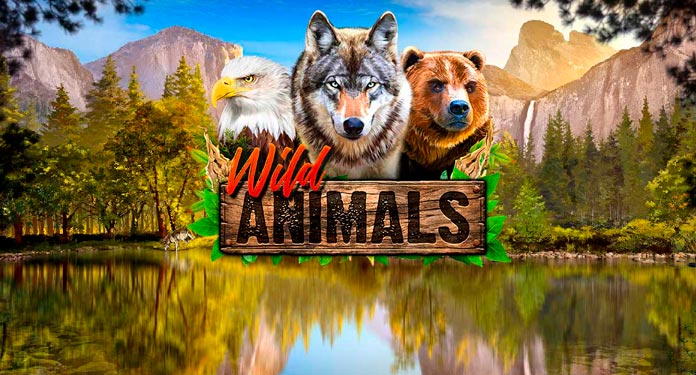 Red-Rake-Presents-Your-Launch-to-Online-Casino, -Wild-Animals