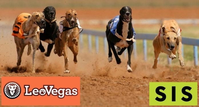 SIS fecha acordo para entrega de conteúdo de corridas de galgos para LeoVegas