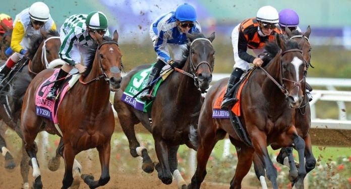 SIS fecha acordo com Codere para transmissão de corridas de cavalos