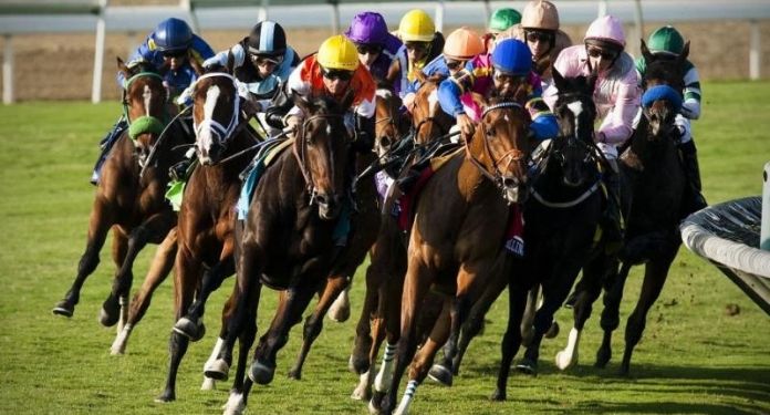 Careers in Racing criará grupo com jovens visando melhorar promoção de corridas ao público